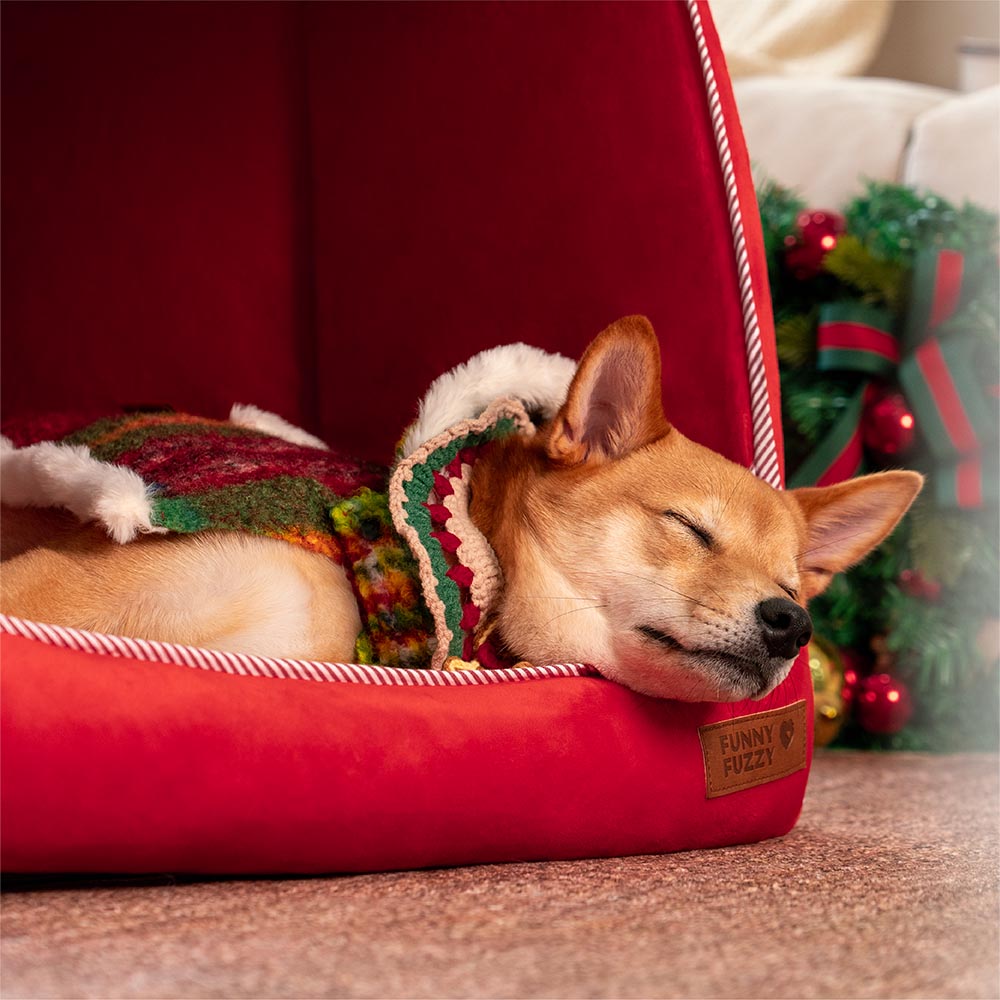 Letto ortopedico per cani Festive Snow House - Calore Natalizio