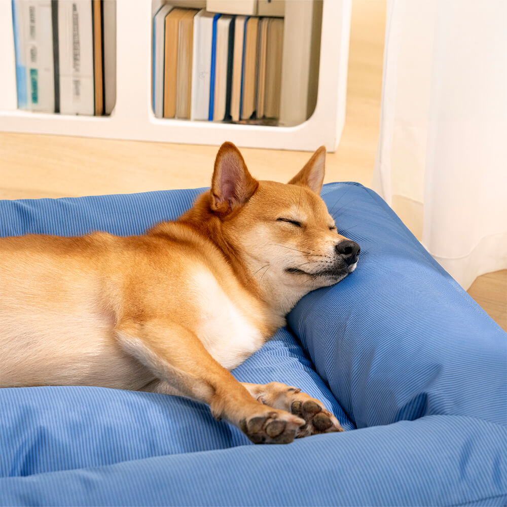 Letto Ortopedico Impermeabile per Cani di Taglia Grande