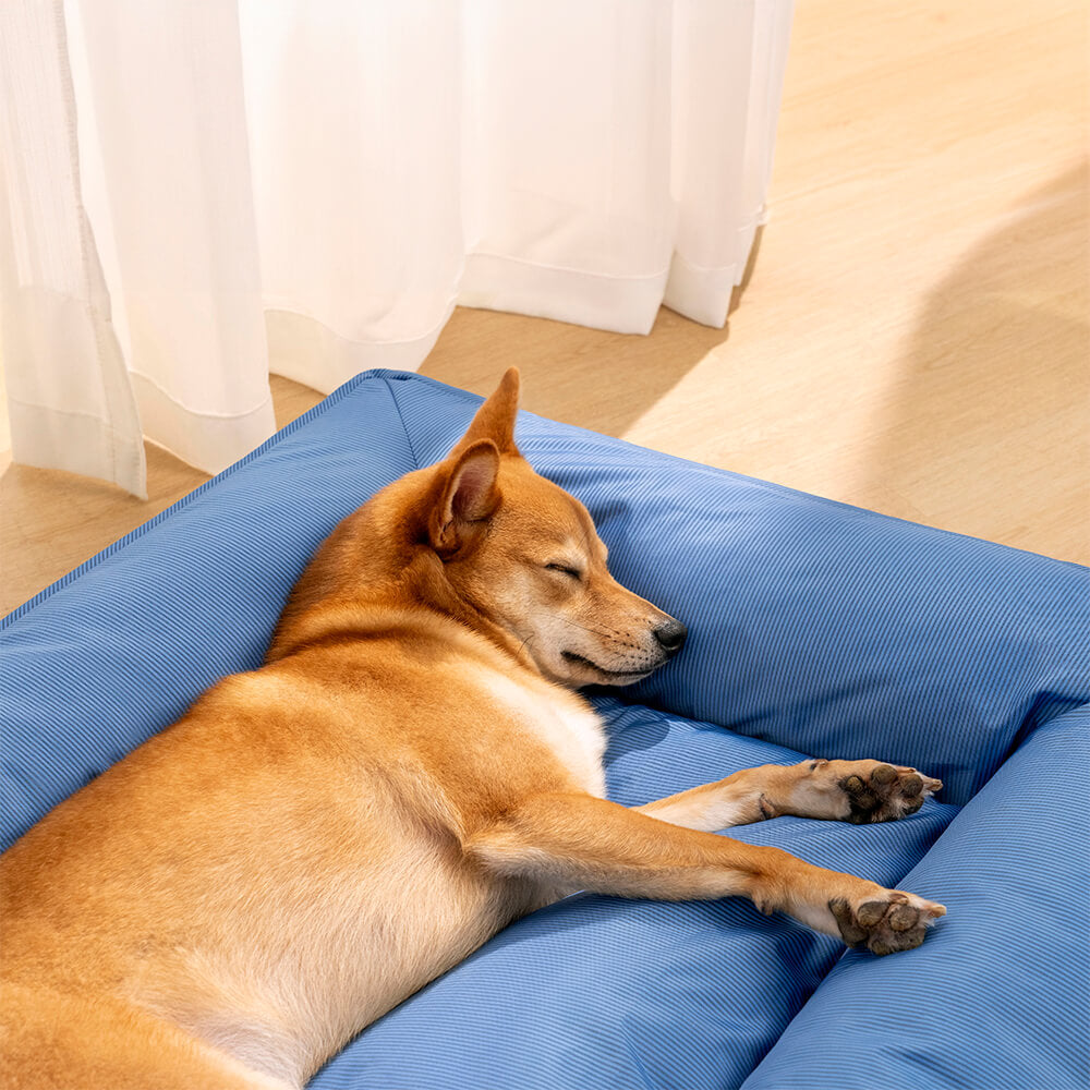 Letto Ortopedico Impermeabile per Cani di Taglia Grande