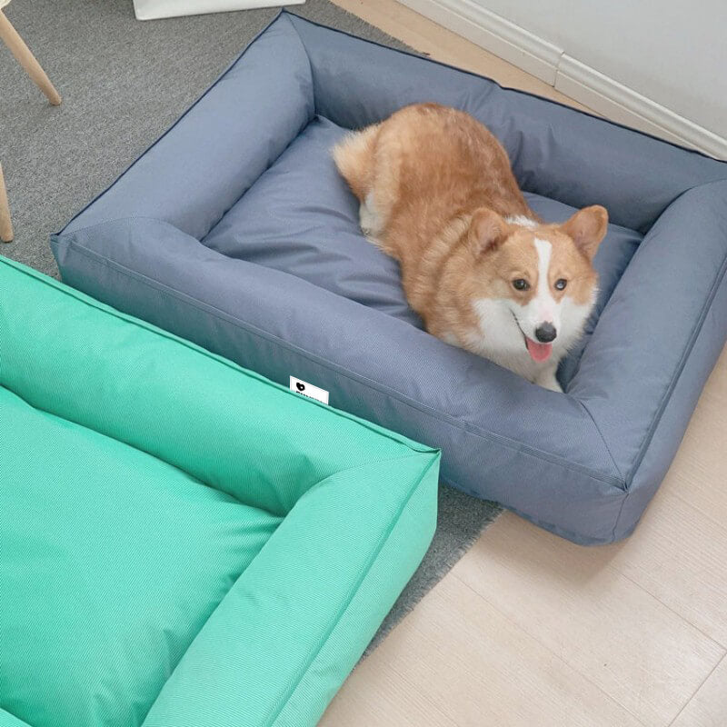 Letto Ortopedico Impermeabile per Cani di Taglia Grande