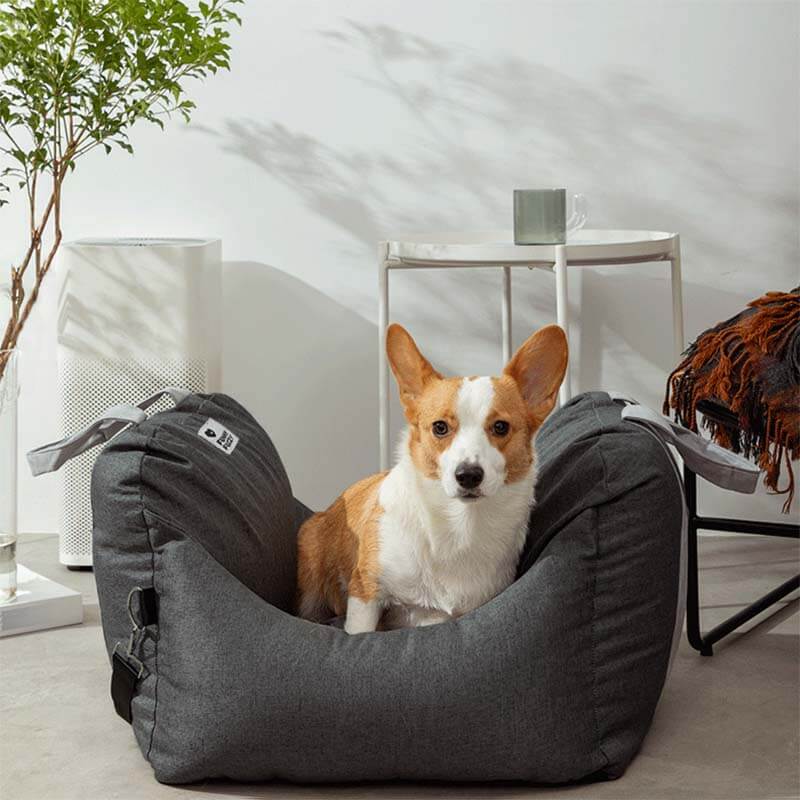 Cuscino per Auto per Cuccioli - Prima Classe