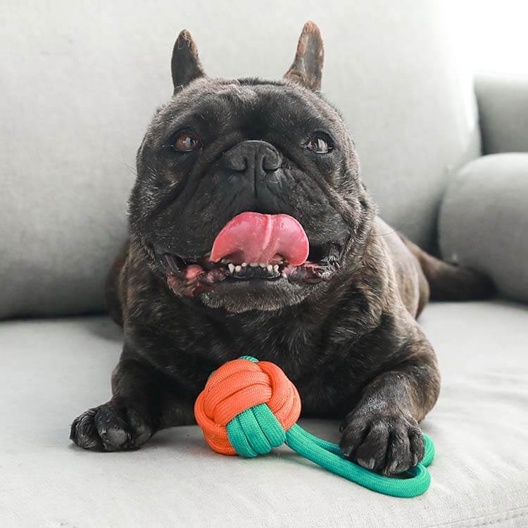 Gioco per cani Knots Rope Tug - Clash di Colori