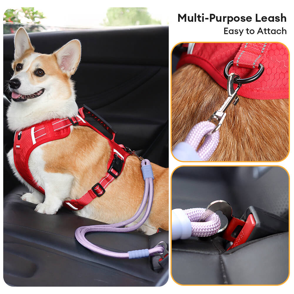 Cintura di sicurezza per cani in nylon anti-tiraggio per seggiolino auto