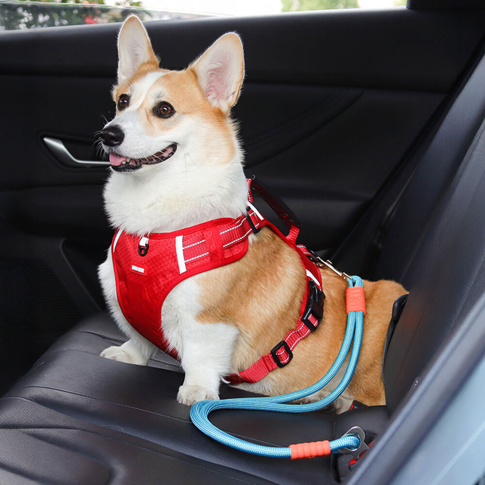 Cintura di sicurezza per cani in nylon anti-tiraggio per seggiolino auto