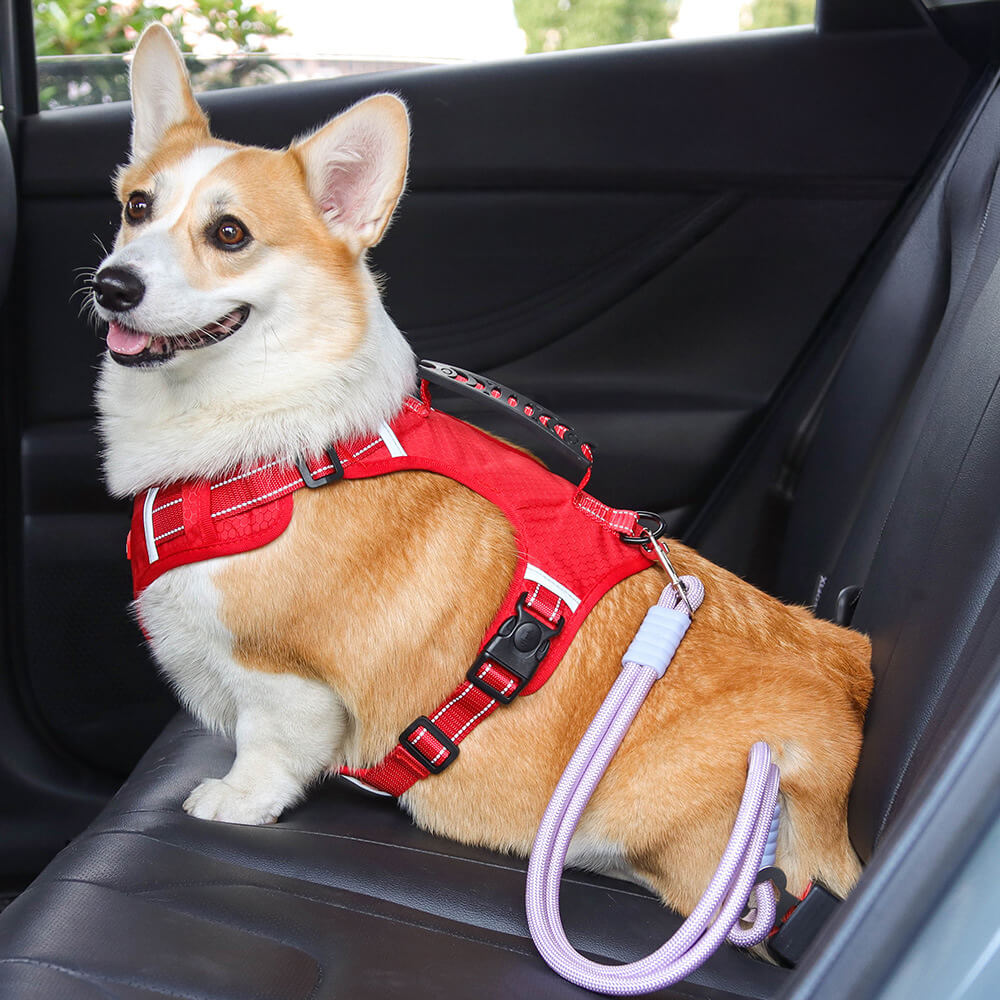 Cintura di sicurezza per cani in nylon anti-tiraggio per seggiolino auto