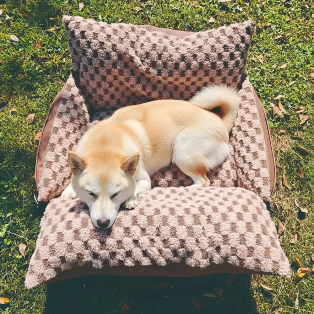 Seggiolino e trasportino per animali in finta pelle a scacchi per auto, 2 in 1.