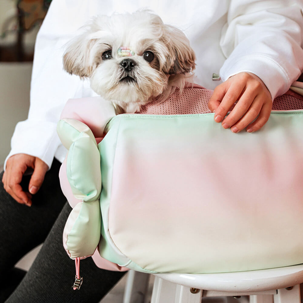 Borsa da trasporto per animali domestici impermeabile in PU pelle colorata e alla moda