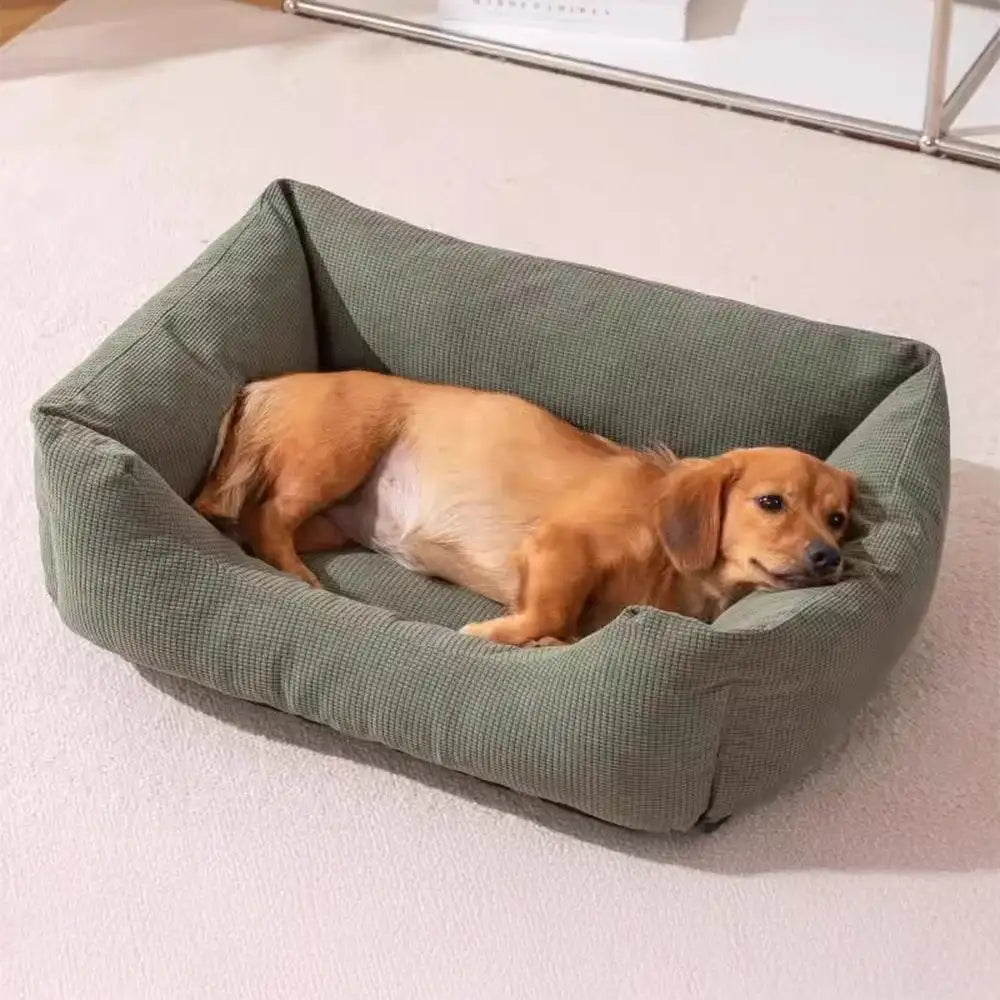 Letto per cani in corduroy, resistente ai graffi, traspirante e sfoderabile