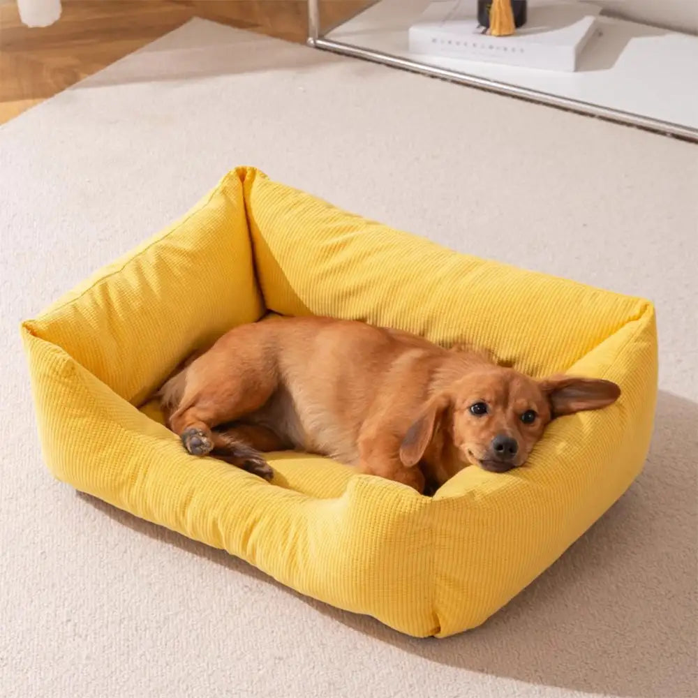 Letto per cani in corduroy, resistente ai graffi, traspirante e sfoderabile