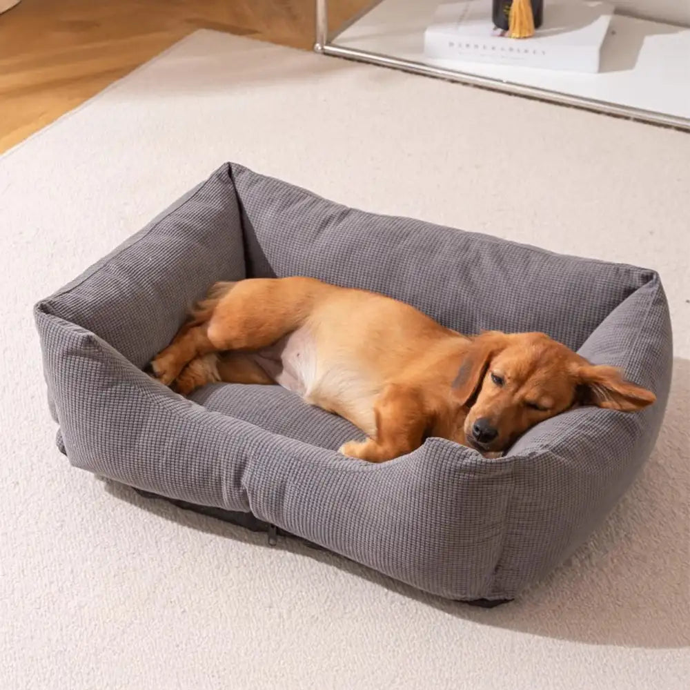 Letto per cani in corduroy, resistente ai graffi, traspirante e sfoderabile