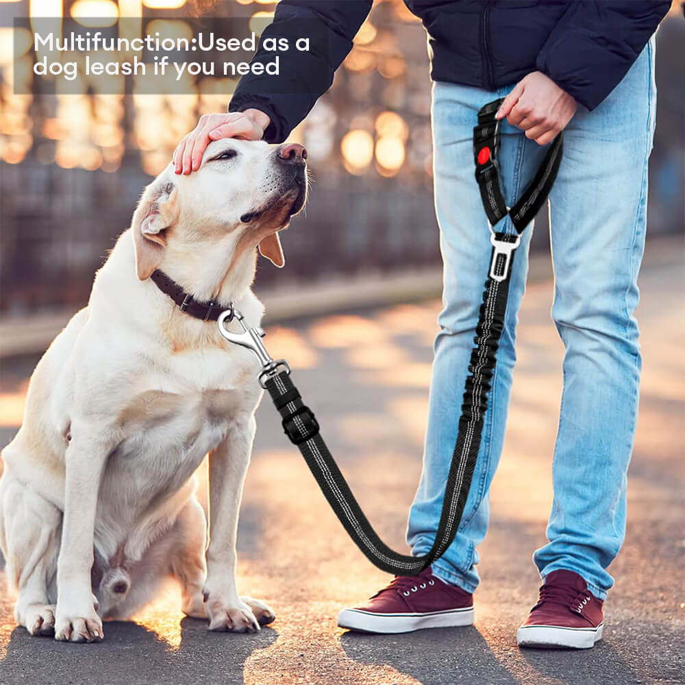 Cintura di sicurezza per cani per poggiatesta del veicolo