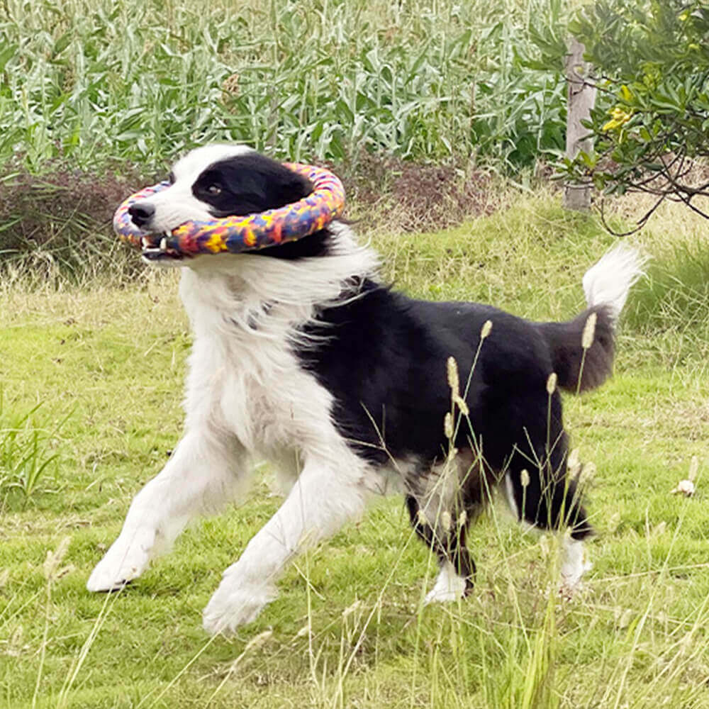 Giocattolo per cani in camo durevole, corda resistente al morso, serie di giocattoli galleggianti per acqua