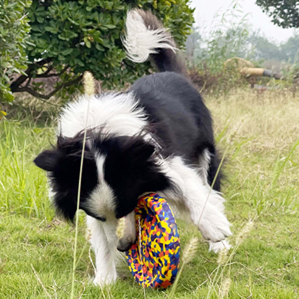 Giocattolo per cani in camo durevole, corda resistente al morso, serie di giocattoli galleggianti per acqua
