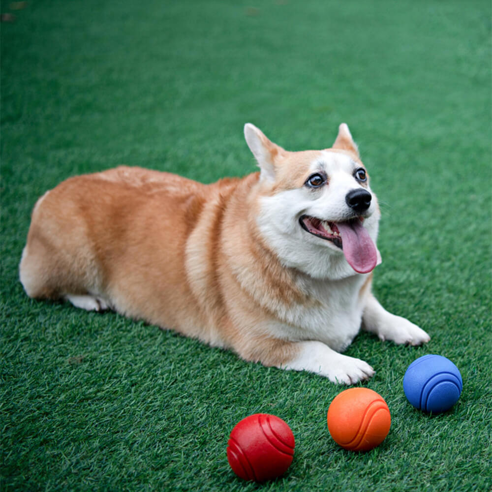 Giocattolo elastico squeezy a forma di pallone galleggiante per cani, giocattolo da masticare