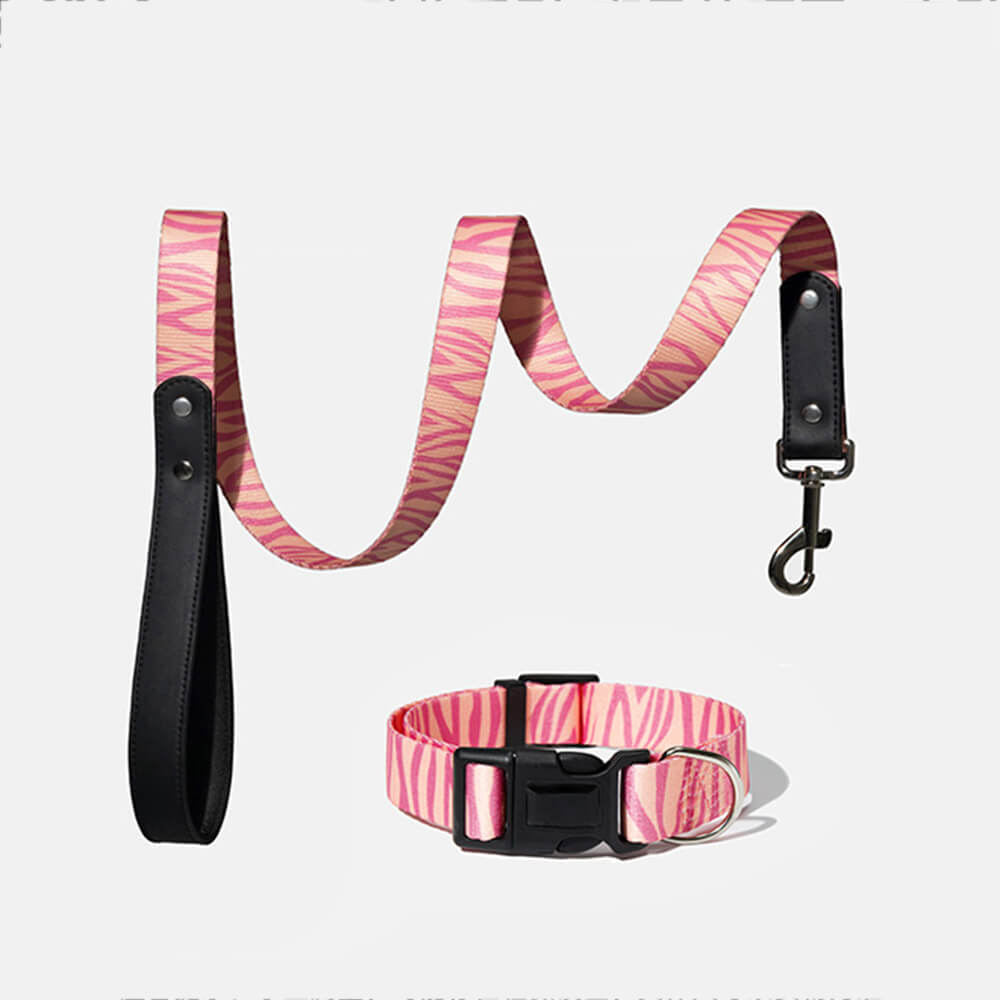 Set di guinzaglio in nylon leggero con stampa moda per cani
