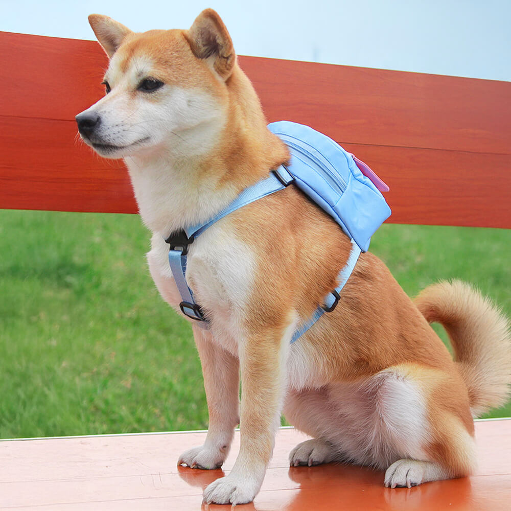 Zaino da avventura per animali domestici compatibile con guinzaglio alla moda