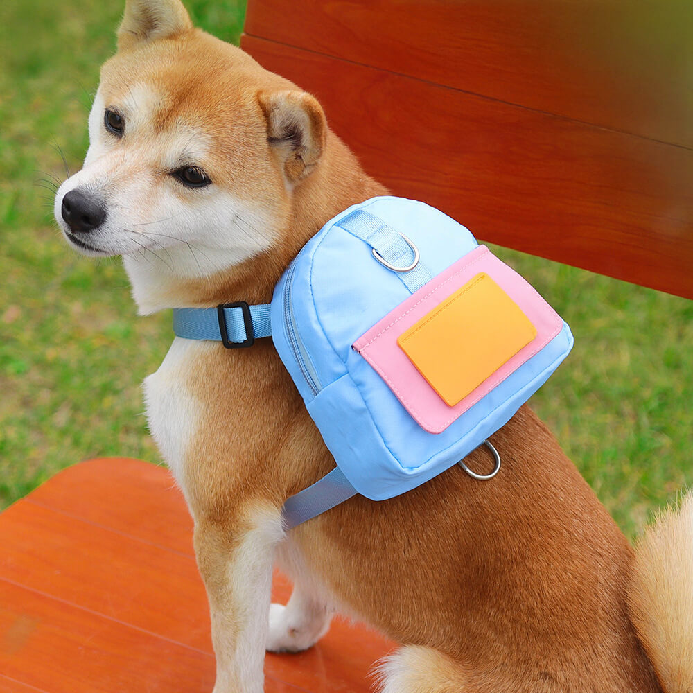 Zaino da avventura per animali domestici compatibile con guinzaglio alla moda