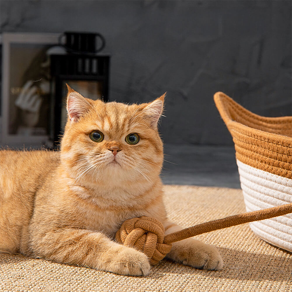 Letto per gatti intrecciato, durevole, multiuso e fatto a mano