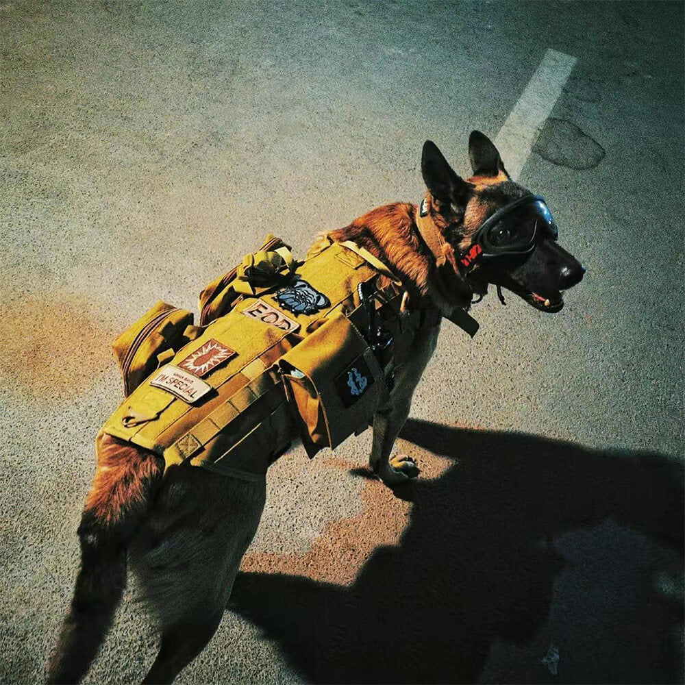 Gilet tattico stile militare per cani con cinturini regolabili