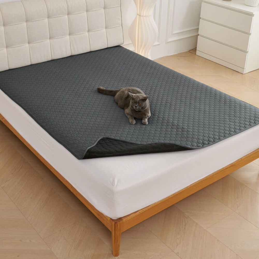 Tappetino assorbente multiuso, impermeabile e lavabile per animali domestici, adatto per divano e letto