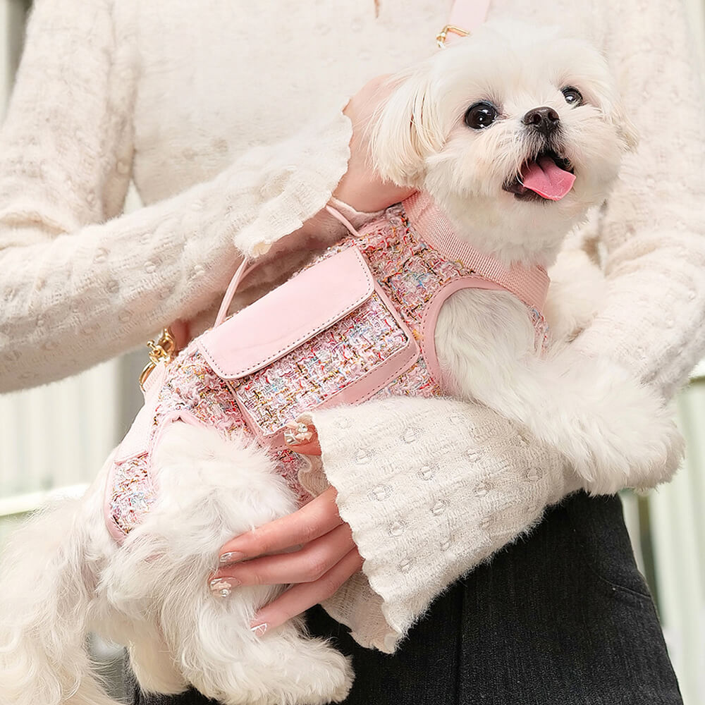 Zaino per cani con imbracatura multifunzionale e gilet per passeggiate per cani di piccola taglia