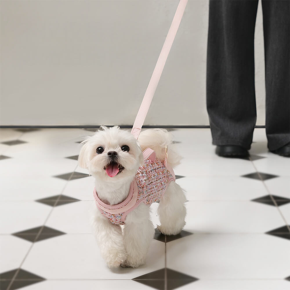 Zaino per cani con imbracatura multifunzionale e gilet per passeggiate per cani di piccola taglia