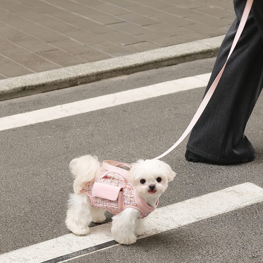 Zaino per cani con imbracatura multifunzionale e gilet per passeggiate per cani di piccola taglia