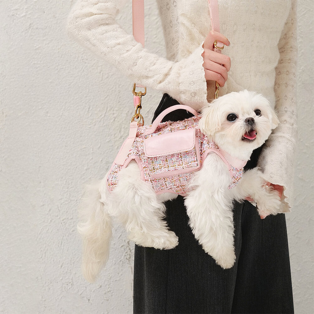 Zaino per cani con imbracatura multifunzionale e gilet per passeggiate per cani di piccola taglia