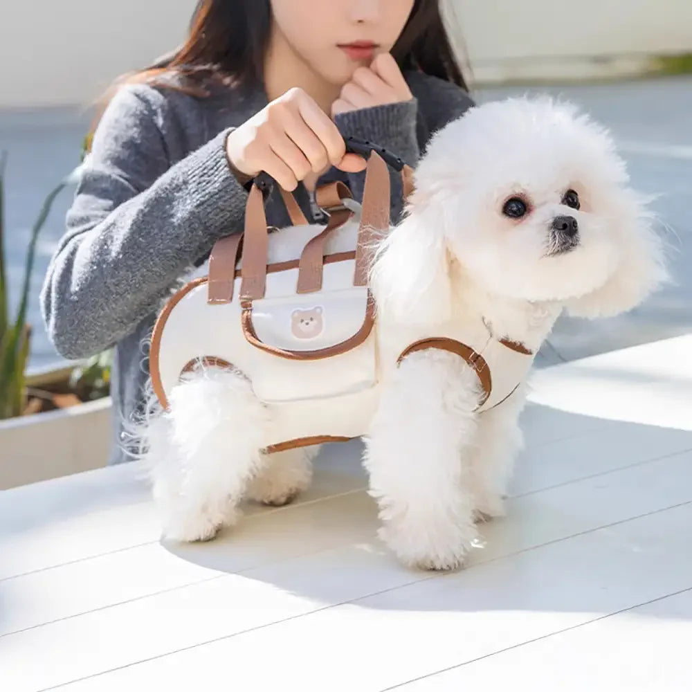 Zaino portatile multifunzionale per cani di piccola taglia con trazione a tracolla