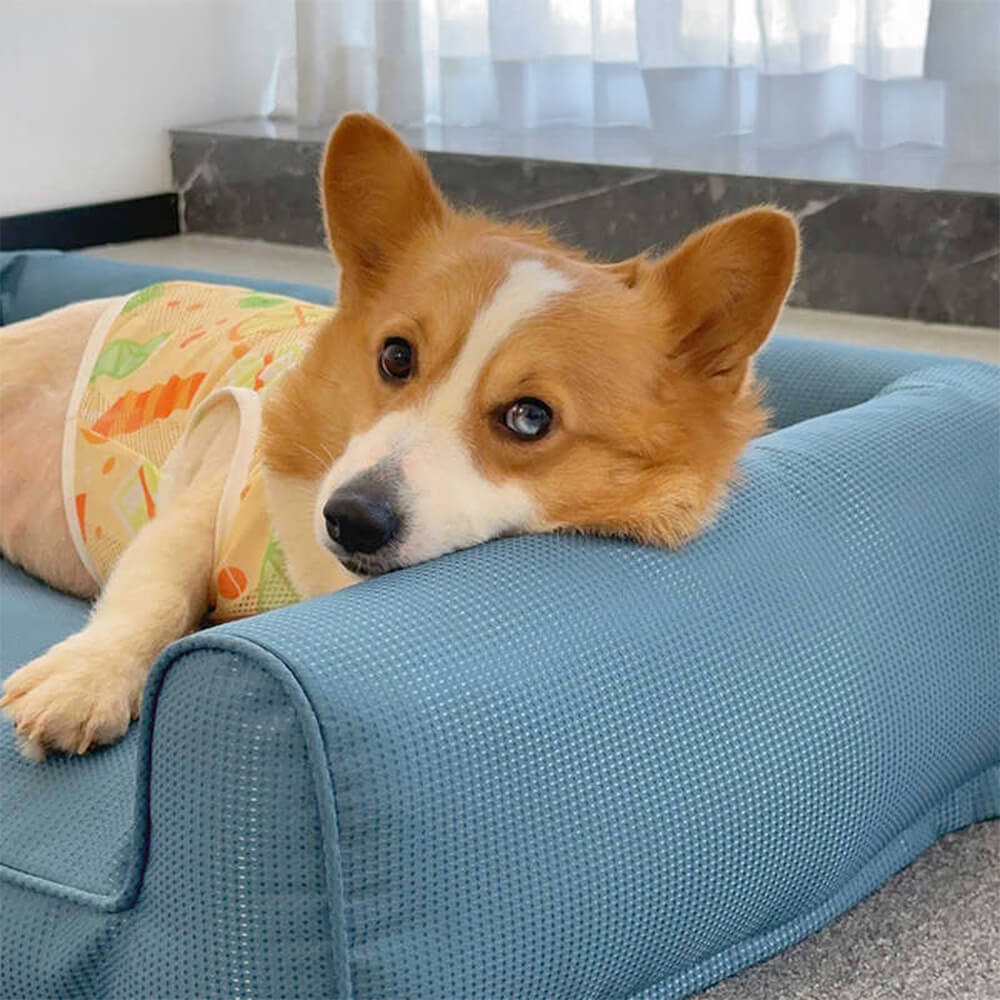Letto per cani con cuscino rimovibile e lavabile in Oxford impermeabile