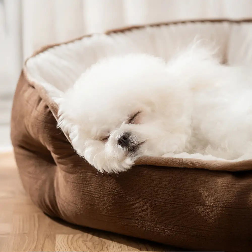 Letto per cani rotondo profondo e caldo in peluche, confortevole