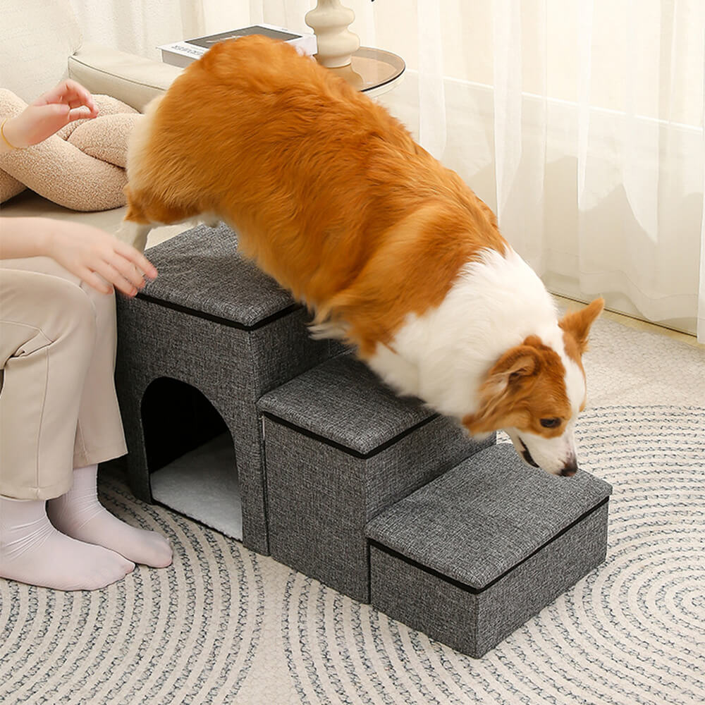 Scale per cani portatili multifunzionali pieghevoli con deposito e condominio