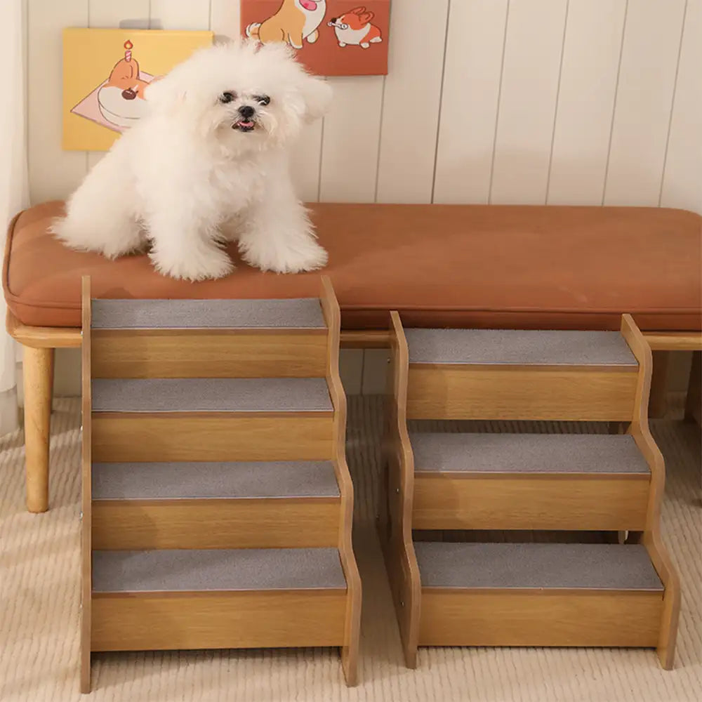 Rampa per cani in legno sicura, robusta e antiscivolo