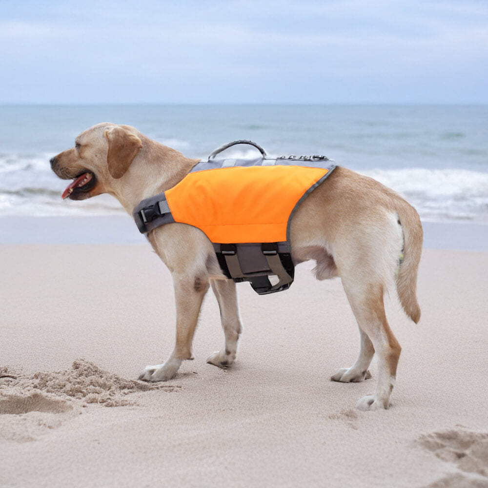 Giubbotto di salvataggio per cani ad alta visibilità, sicuro e galleggiante