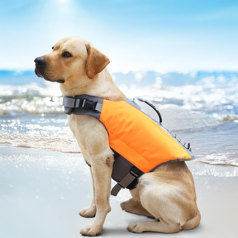 Giubbotto di salvataggio per cani ad alta visibilità, sicuro e galleggiante