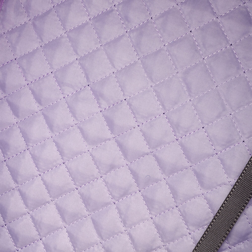 Borsa per trasportare animali domestici trendy, comoda, leggera, traspirante e rimovibile.