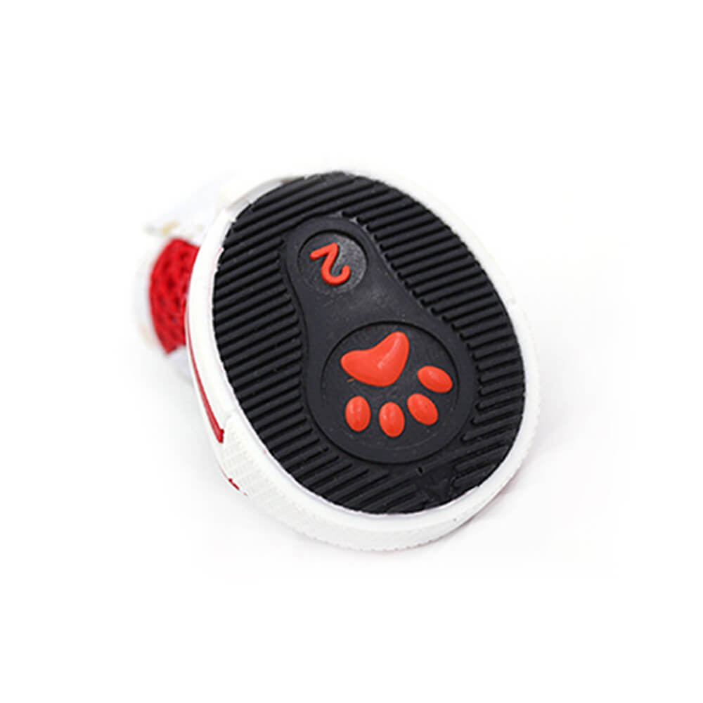 Scarpe sportive trendy alta con rete traspirante e antiscivolo per cani