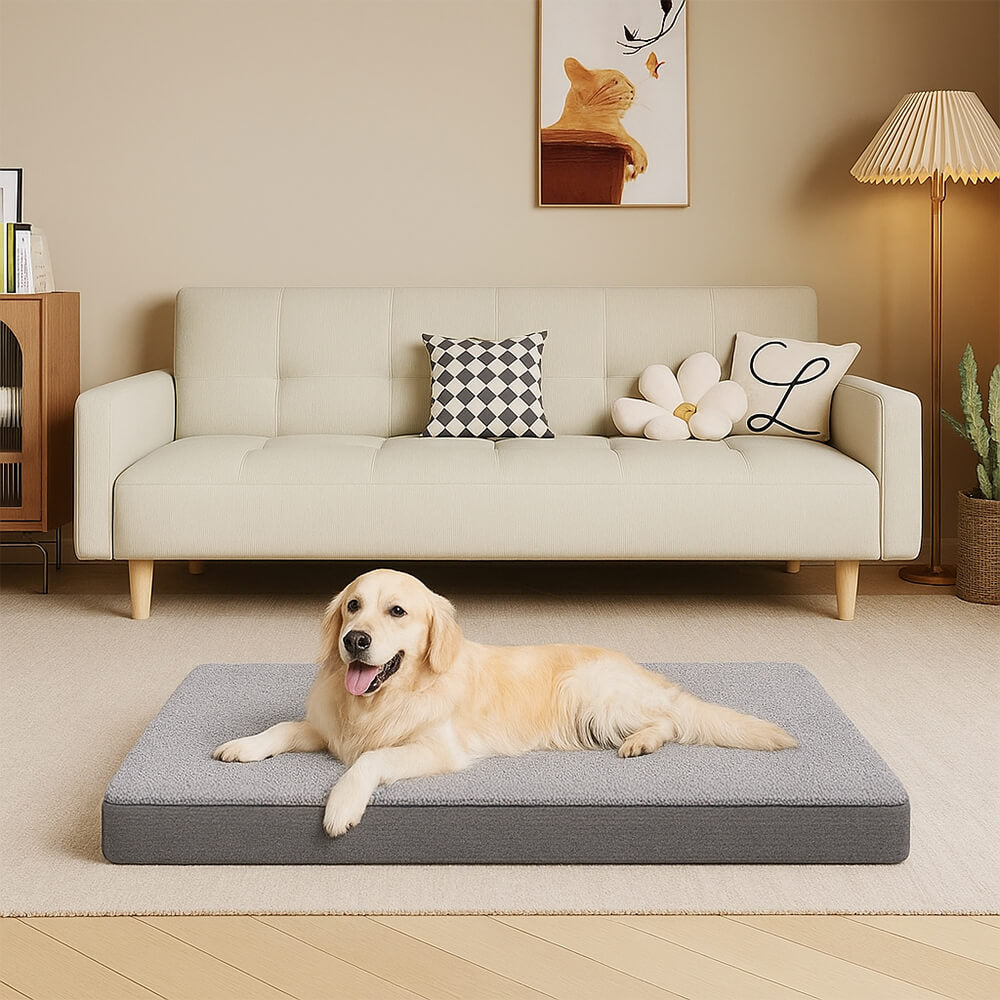 Letto per cani grande impermeabile ortopedico con memory foam rimovibile