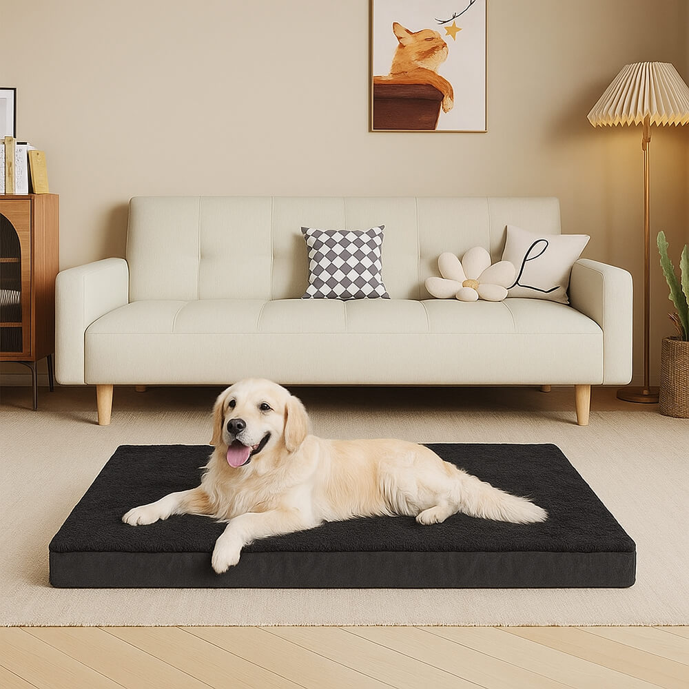 Letto per cani grande impermeabile ortopedico con memory foam rimovibile