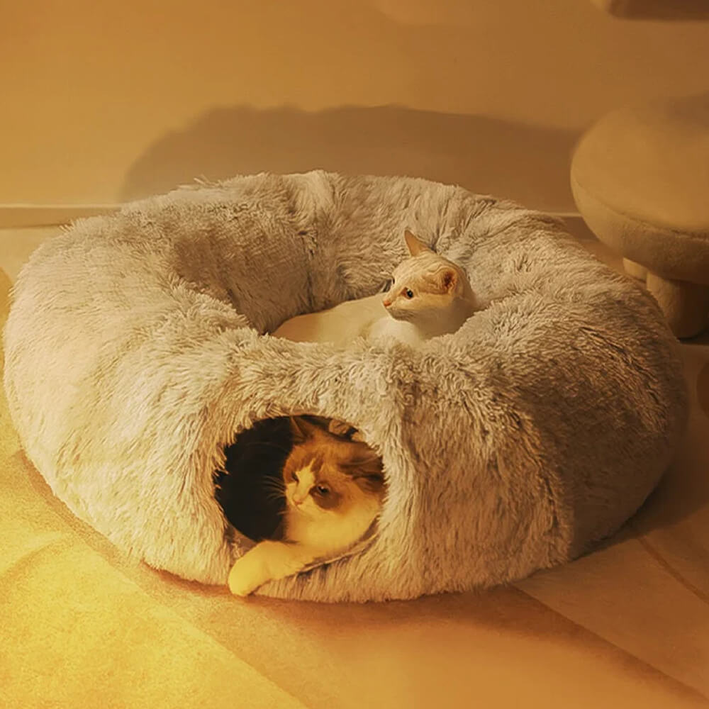 Letto per gatti tondo morbido pieghevole 2 in 1 per interni