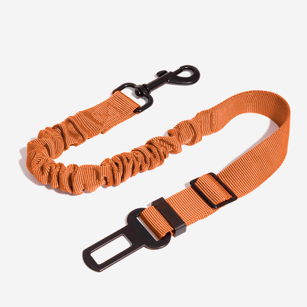 Accessori per cani colorati e regolabili, cintura di sicurezza per auto.