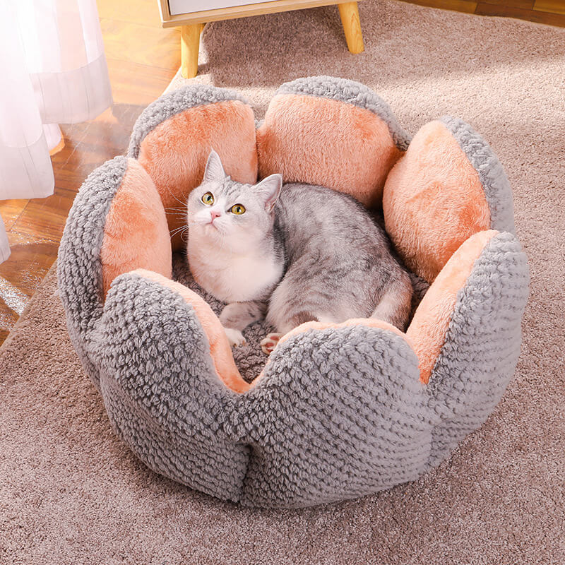 Letto per animali domestici a forma di cactus comodo
