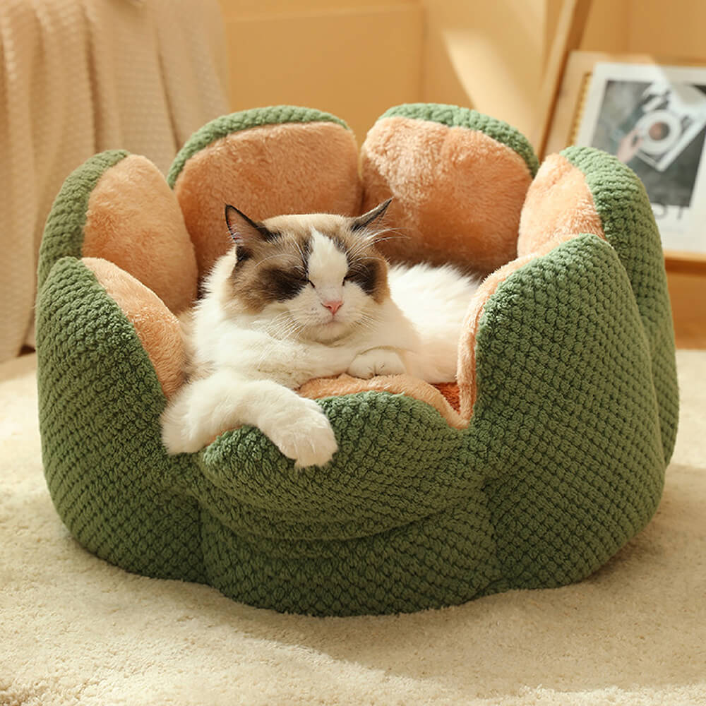 Letto per animali domestici a forma di cactus comodo