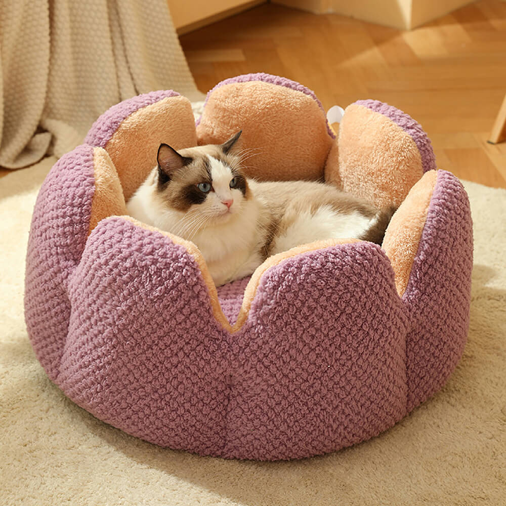 Letto per animali domestici a forma di cactus comodo