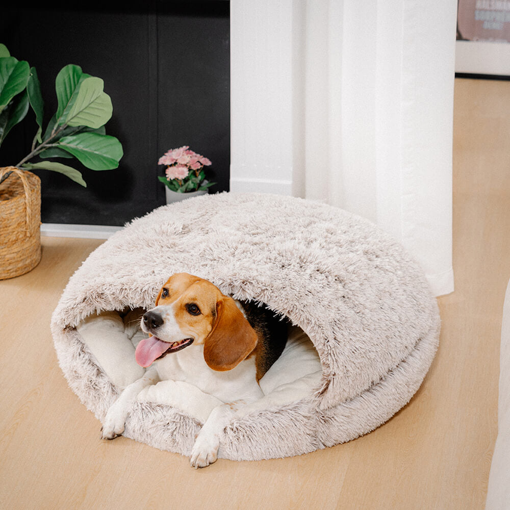 Letto Pita per cani: Nido per animali domestici semi-chiuso in morbido materiale calmante.