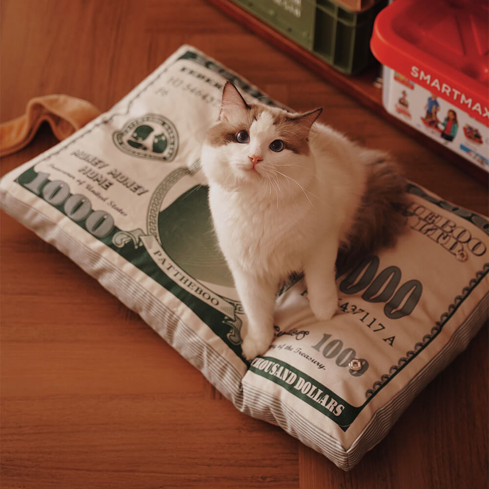 Letto per gatti a tema soldi in tela resistente