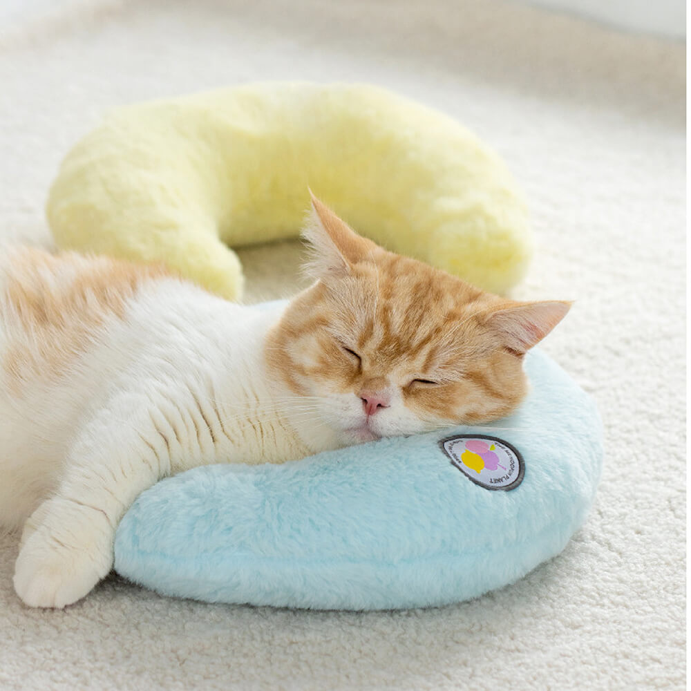 Cuscino per animali domestici carino e accogliente di moda