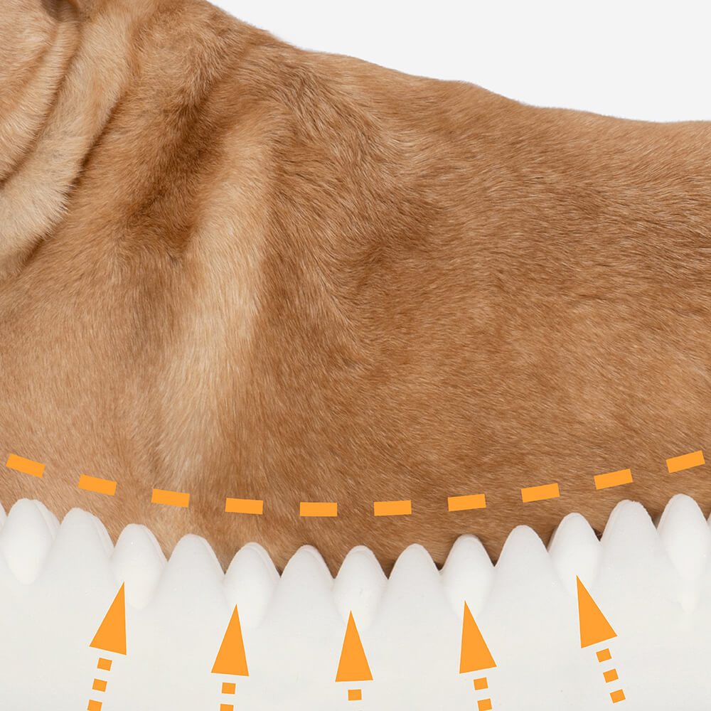 Letto ortopedico per cani con pieno supporto e comfort