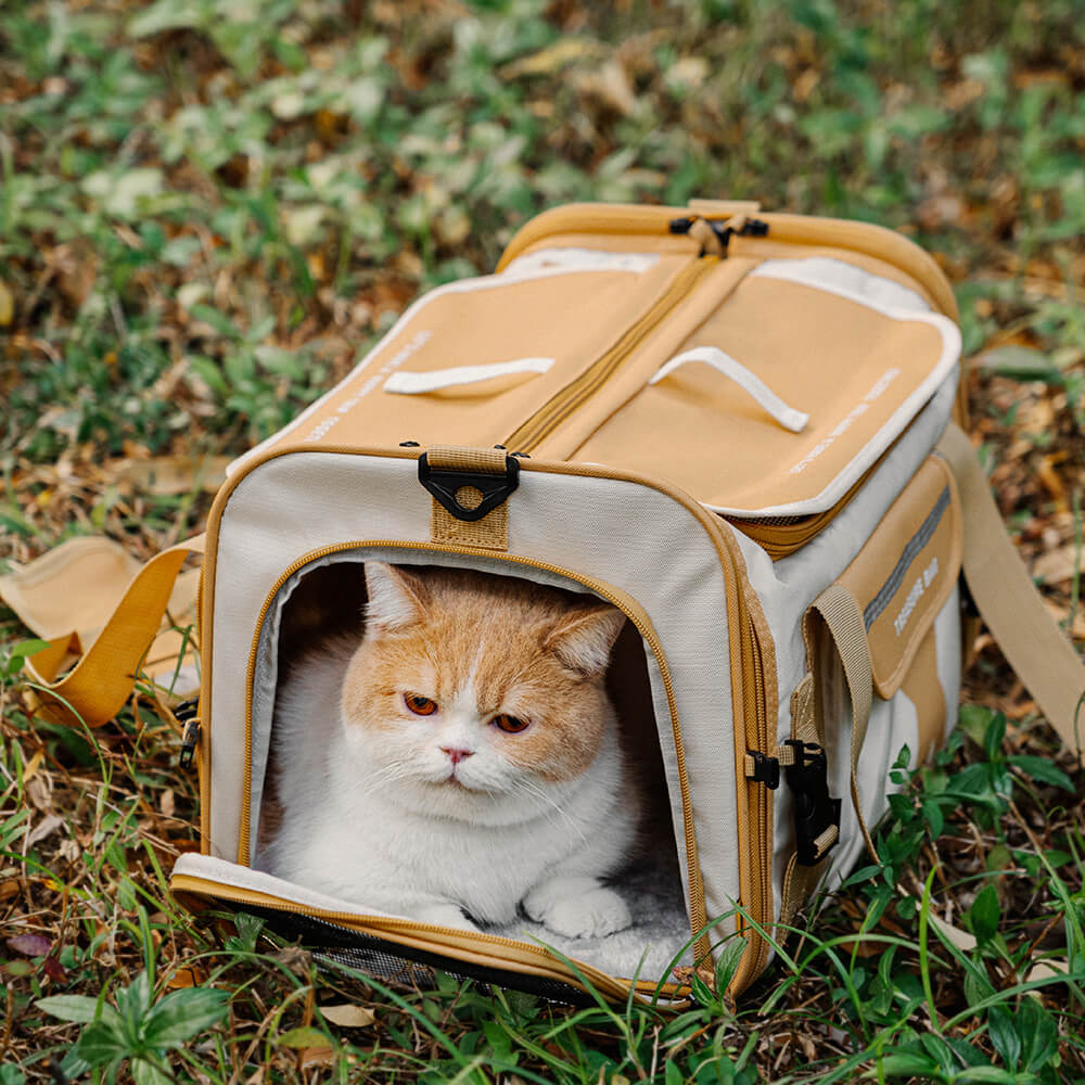 Trasportino di Design per Animali – Portatile e Pieghevole