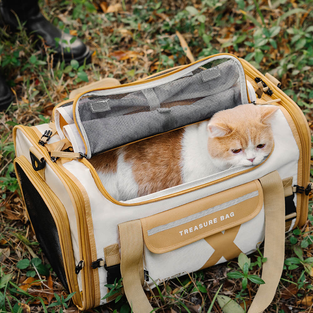 Trasportino di Design per Animali – Portatile e Pieghevole